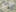 Gevelbeeld 3D De Horst 02 Type C