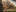 32801 Ext 06 Small